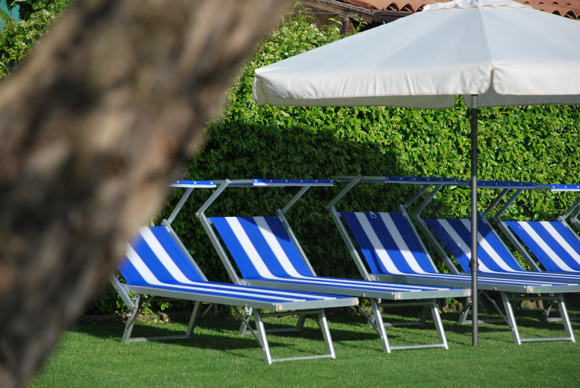 Bed and Breakfast La Tinassara Lazise Exteriér fotografie